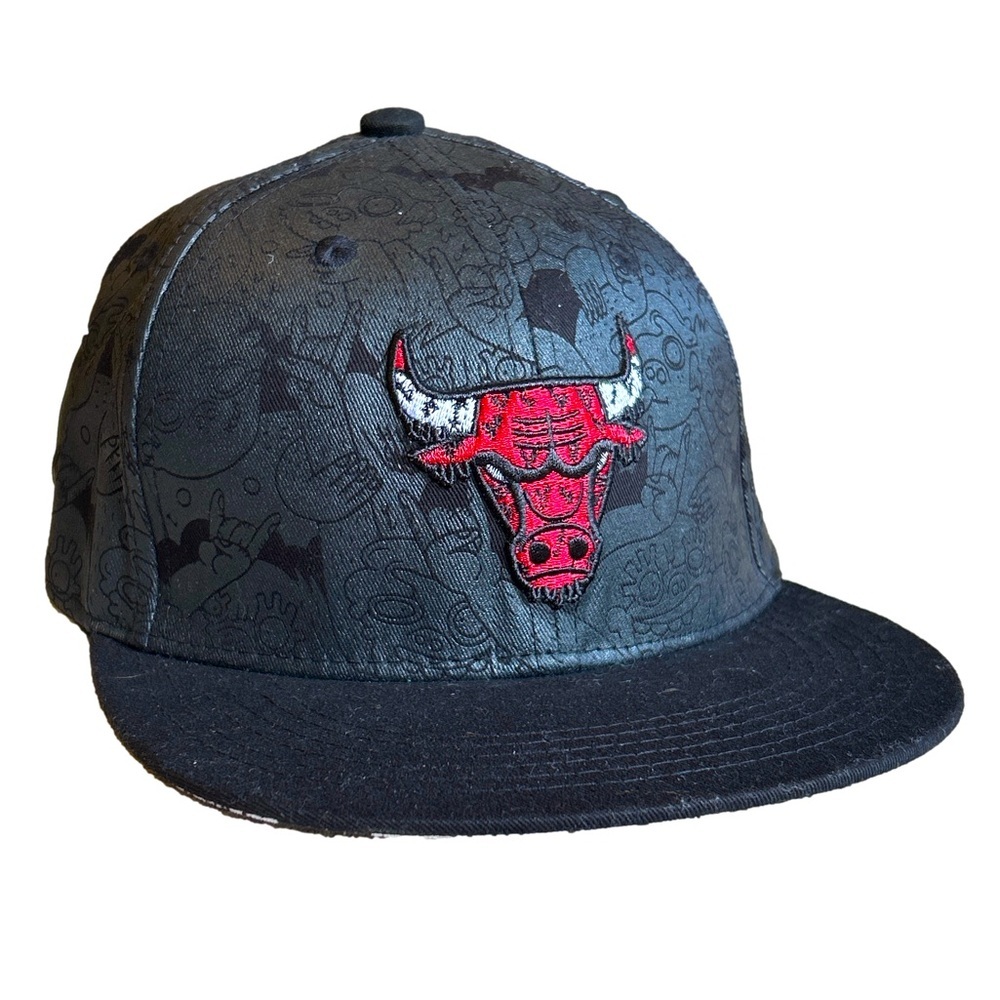 Chicago Bulls artist series hat by Melonwear